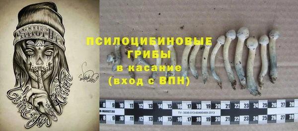 ешки Струнино